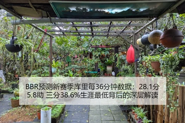 BBR预测新赛季库里每36分钟数据:28.1分5.8助 三分38.6%生涯最低背后的深层解读